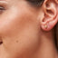 Gold Zirkonia Ohrstecker Ohrringe Czarina Jewellery   