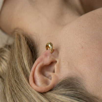 Cleo Star Hoops Ohrringe Wasserfest